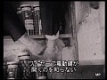 禁酒法 サンプル画像 No.3