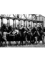競馬人気