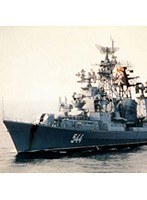 これがロシア艦隊だ カラー記録