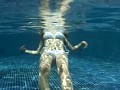 Wild thing ����ߤ졡