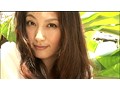 SUN DREAM �F�c�j�q �T���v���摜  No.4