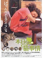 本日の猫事情