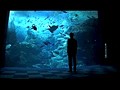BOYS LOVE 劇場版 サンプル画像 No.6