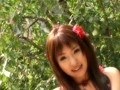 わらべうた 和桜-画像3