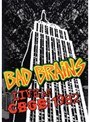 Live at CBGB 1982