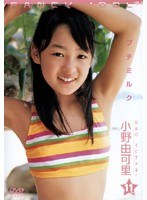 VOL.13 FANCY IDOL プチミルク 小野由可里