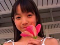 VOL.14 FANCY IDOL Lucky ƣ������ ����ץ���� No.6