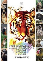 どうぶつえんへいこう【肉食動物・類人猿】