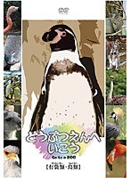 どうぶつえんへいこう【有袋類・鳥類】