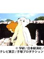  第18話 ジャングル大帝（新）でDMMアフィリエイトツール