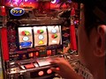 ��214 �ѥ������Хȥ�꡼�� No.2