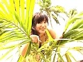 バァディー・ワイルダー 鈴木叶乃