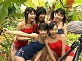 vol.4 INNOCENT フルーツポンチ サンプル画像 No.5