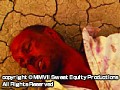 ボーン・ドライ サンプル画像 No.5