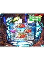 ��362 �ѥ��󥳼���Ρ�������Ź��
