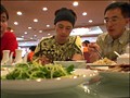 Search for my roots プライベートジャーニー 斎藤工 体験編 サンプル画像 No.4