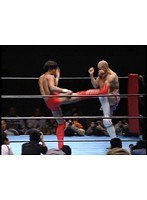 1993年9月21日東京ベイNKホール
