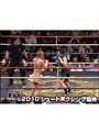 ¶�λ� SHOOT BOXING 25TH ANNIVERSARY SERIES������ �ݿ�-ISHIN- V�� �ƥ��顼��NINJA�ǥޥ����ꥹ�ȥ� �Ի����ŷ�� ������Ƿ ���Ľ�� ������ε�� ���������롦���饳�� ���� ������� ë¼�깾 ������ RENA ����� ��MIKA�� ���յ׹� ���ڸ�