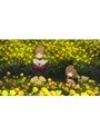 第24話 うみねこのなく頃に