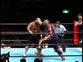 Vol.3 闘魂Vスペシャル 『91 SGタッグリーグ戦』  サンプル画像 No.6