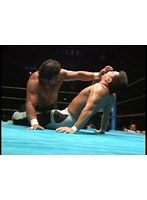 Vol.3 闘魂Vスペシャル 『91 SGタッグリーグ戦』
