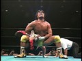 Vol.18 闘魂Vスペシャル 『武藤敬司VSハルク・ホーガン』  サンプル画像 No.3