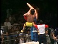 Vol.19 闘魂Vスペシャル 『93 G1スペシャル・ベストバウト』  サンプル画像 No.6