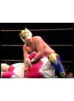 Vol.19 闘魂Vスペシャル 『93 G1スペシャル・ベストバウト』