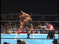 Vol.21 闘魂Vスペシャル 『これぞ正統派プロレス』  サンプル画像 No.5