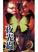 夜光蟲