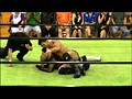 【プロレスリング・ノア】第7試合 2011年7月16日 秋田・湯沢市体育センター 第5回日テレG＋杯争奪ジュニアタッグリーグ戦  サンプル画像 No.5