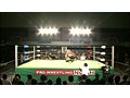 【プロレスリング・ノア】 第9試合 2011年11月5日 ディファ有明 「グローバルリーグ戦2011」Aブロック公式戦30分1本勝負  サンプル画像 No.5