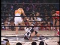 VOL.2 全日本女子プロレスメモリアルシリーズ BIG EGG WRESTRING UNIVERSE ～憧夢超女大戦～ '94 11・20 東京ドーム  サンプル画像 No.1