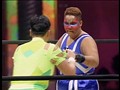 VOL.3 全日本女子プロレスメモリアルシリーズ 全日本女子プロレス25周年記念 ～武道館女王列伝～ ’93 8・25 日本武道館  サンプル画像 No.6