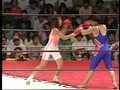 サバイバルシャウト IN 後楽園  サンプル画像 No.3