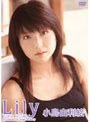  Lily 小島由利絵でDMMアフィリエイトツール