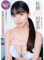 「妊娠させてください…」 托卵NTR同窓会 種無し旦那に耐えかねて 宇流木さらら
