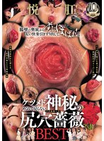 悦肛。腸壁の奥底からずぶぼばぁ！と太い快楽引きずり出して、ケツメドめくれて戻らない神秘の尻穴薔薇BEST