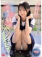 ちょっと前までプロレスごっこしてたガキの妹が最近やたらパンチラしてくる。兄ちゃんどうする…？ GOする！？ 白上咲花