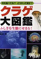 【クリックでお店のこの商品のページへ】クラゲ大図鑑 何を食べてる？どうやって刺す？ ふしぎな生態にせまる！