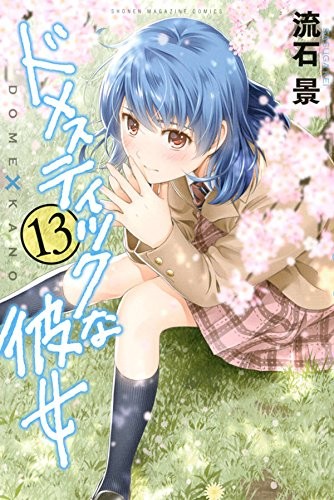 ドメスティックな彼女 (1-13巻)