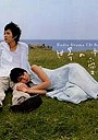  世界の中心で、愛をさけぶでDMMアフィリエイトツール