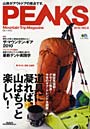  PEAKS 6でDMMアフィリエイトツール