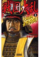 【クリックで詳細表示】戦国大乱 17