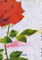 薔薇の花瓶