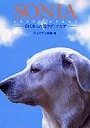  SONIA LOVE STORY 白くなった黒ラブ・ソニアでDMMアフィリエイトツール