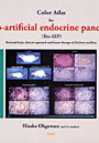  Color Atlas for Bio‐artificial endocrine pancreas〈Bio‐AEP〉 Rational basis，clinical approach and future therapy of Diabetes melliでDMMアフィリエイトツール