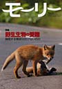 モーリー 21