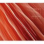  BUCK-TICK/CATALOGUE2005でDMMアフィリエイトツール