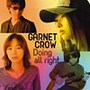  GARNET CROW/Doing all right（Type B「Nora」Side）でDMMアフィリエイトツール